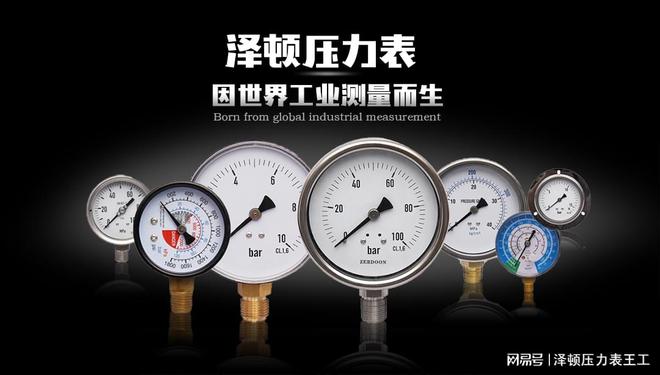 全新升级版医用压力表等级助您实时监测健康数据!(图1)