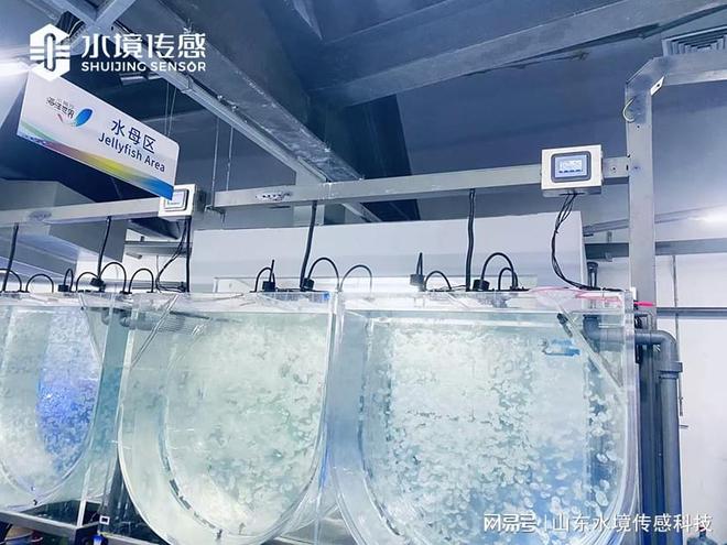 水境 水质在线监测仪：水产养殖水质在线监测(图1)