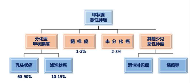 科普｜甲状腺肿瘤患者专享：智慧医疗带来的精准科普(图1)