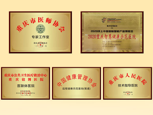 重庆铭博医院：以先进技术领航中医智慧构建打造远程健康示范新标杆(图1)