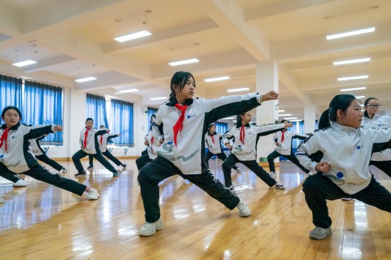 强意志、健身心——各方专家为提升青少年健康素质建言献策(图2)