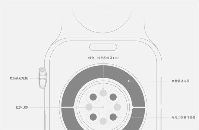 Apple Watch十周年：锚定健康的极致产品力铸就穿戴王者(图5)