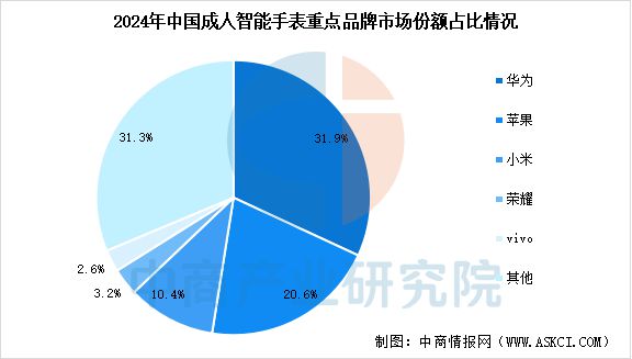 2025年中国智能手表行业市场前景预测研究报告(图7)