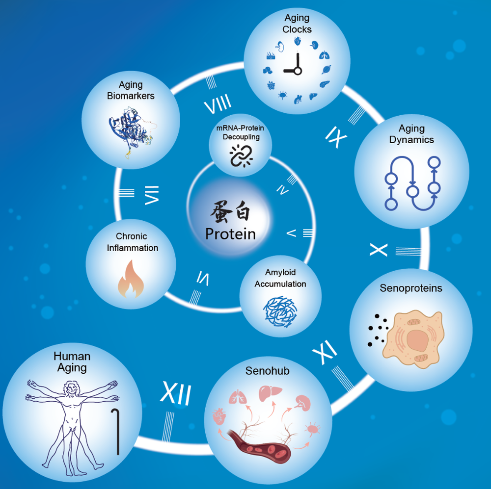 科学与健康｜何以衰老？“人体衰老蛋白质图谱”揭开密码(图1)