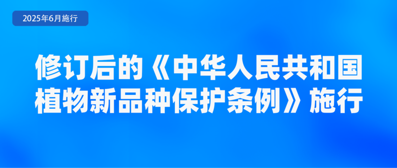 涉学前教育、人脸识别技术应用等 6月起这些新规将施行(图5)