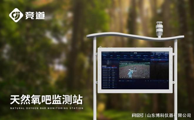 景区空气负氧离子监测系统：实时监测打造健康生态旅游环境(图3)