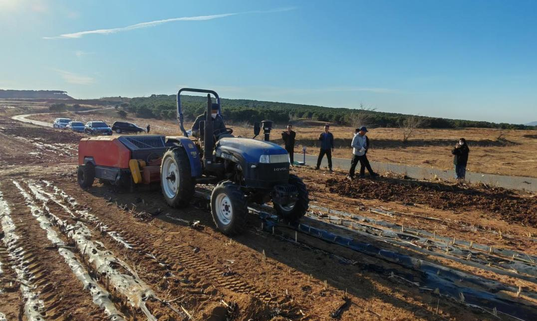 赤峰市做好地膜残留监测守护耕地健康(图1)