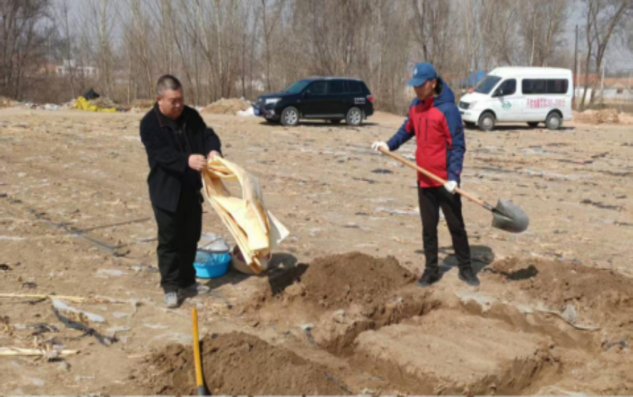 做好地膜残留监测守护耕地健康(图2)